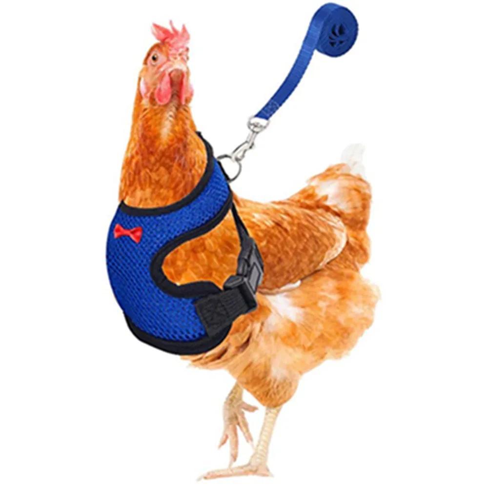 1 Pcs Fashion Chicken Duck Vest Hen Belt Pet Harness Matching Collars Bow Comfortable Leads Breathable Poultry Supplies