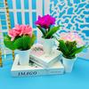 Small Decorative Items Such As Triangular Rose Mini Bonsai Artificial Flowers Artificial Green Plants and Artificial Potted Plants for Decoration