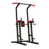 YANBO Multifunctional Indoor Pull-up Bar & Dip Station