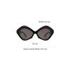 Balenciaga Womens Sunglasses Black Women Sunglasses BB0125S001