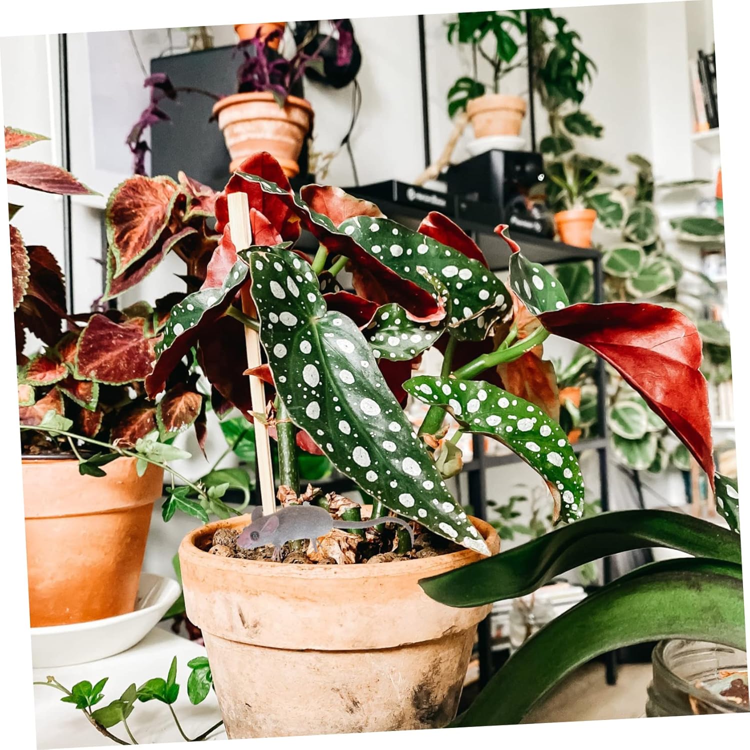 

NUOBESTY 5pcs Mini Simulated Mouse Models for Micro-Landscape, Fake Mice Ornaments for Garden Decor, Prank Mouse Toys, 3.14*0.98*0.59inch