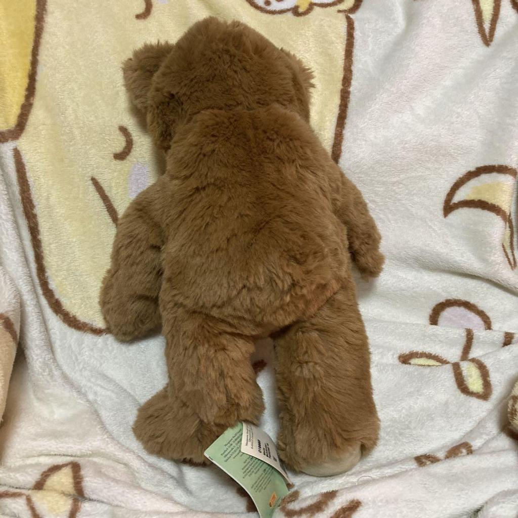 [USED] Steiff Molly 019982 Teddy Bear Plush Toy with Paper Tag, Pre-owned