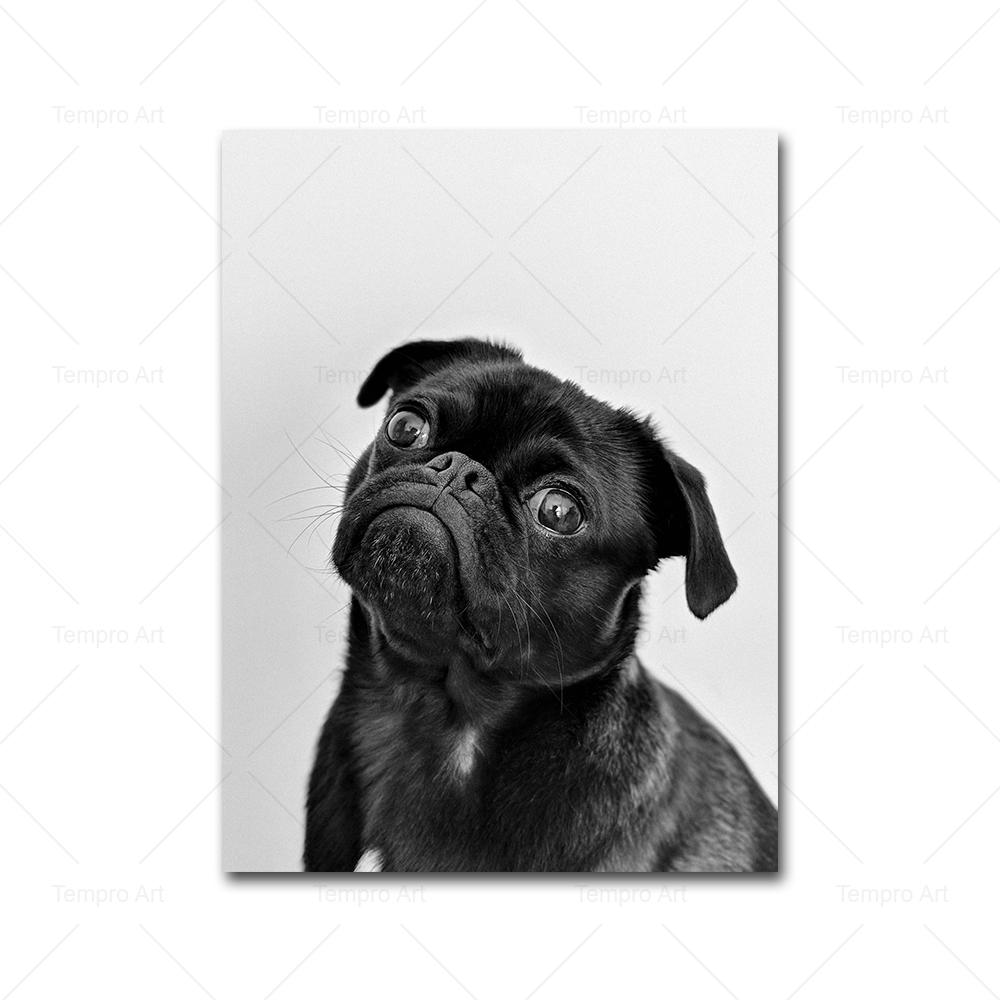 Poster câine alb negru de modă, pictură amuzantă cu animale, pânză, decorare, imagini de perete nordice, imprimare, decor pentru locuință