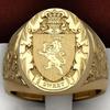 1 Stück Luxus Krone Löwe Schild Ringe für Männer Vintage Mode Edelstahl Hip Hop Gelbgold Antik Punk Verlobung Schmuck