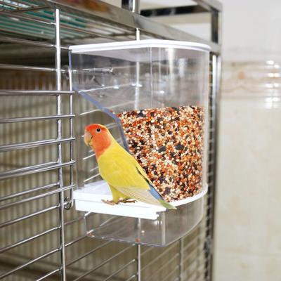 Bird Feeder Large Capacity Automatic Bird Food Feeder Transparent Parrot Hanging Food Container for Cage