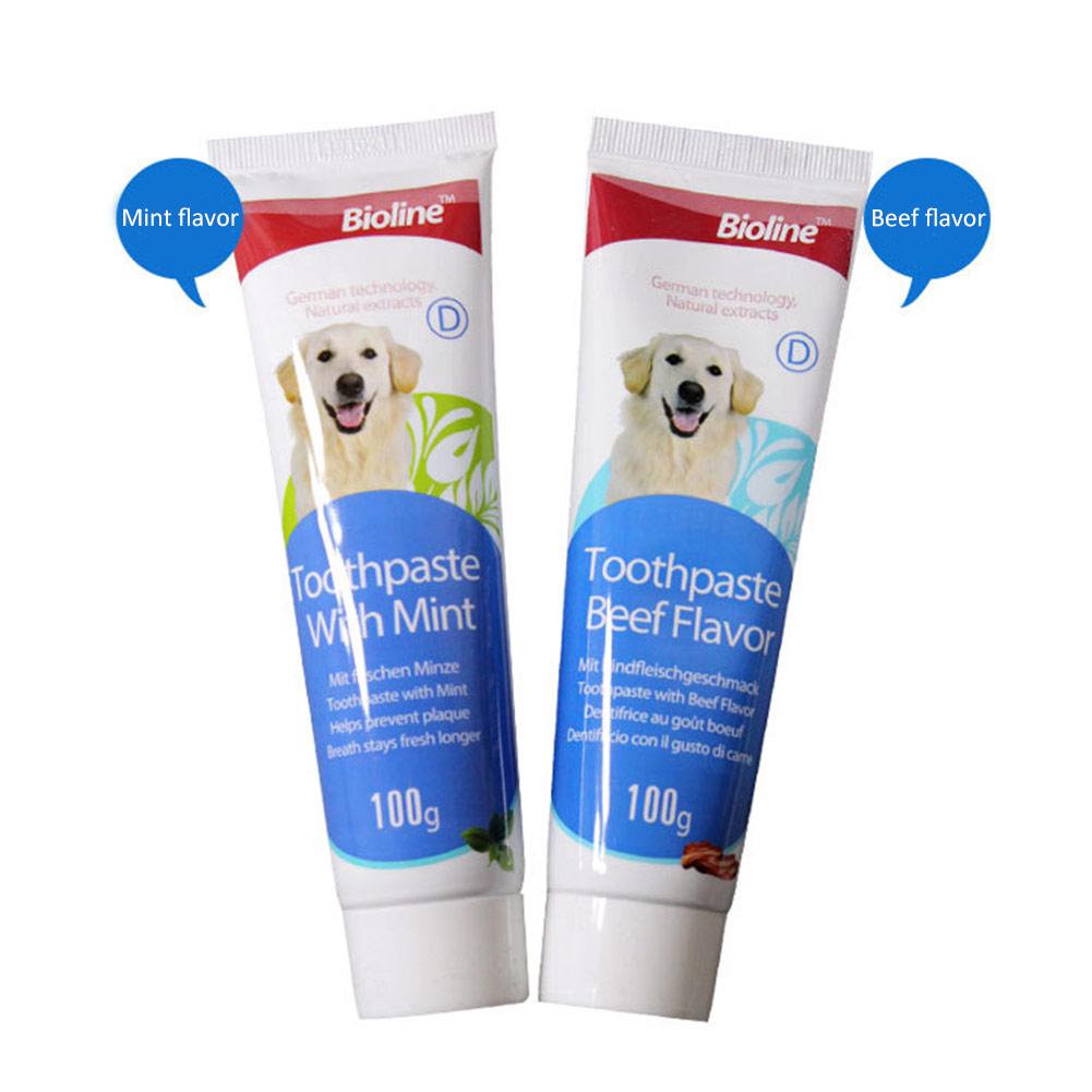 is mint toothpaste bad for dogs