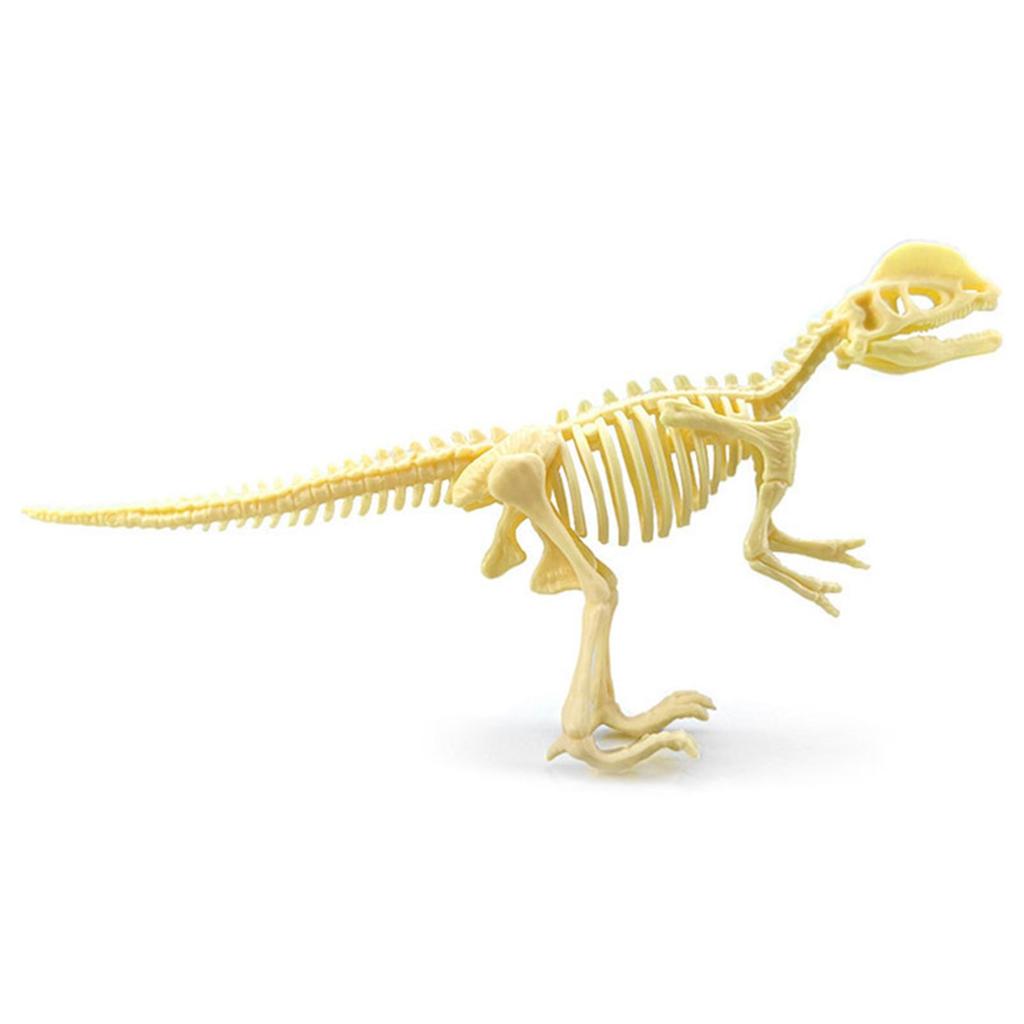 7 Pieces Plastic Dinosaur Skeleton Toys Figures Carfts Collection Educational Gift