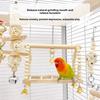 8Pcs Set Wood Parrot Set Bell Perch Hanging Hammock Combination Bird Swing Climbing Ladder Parrot Training Cockatiel