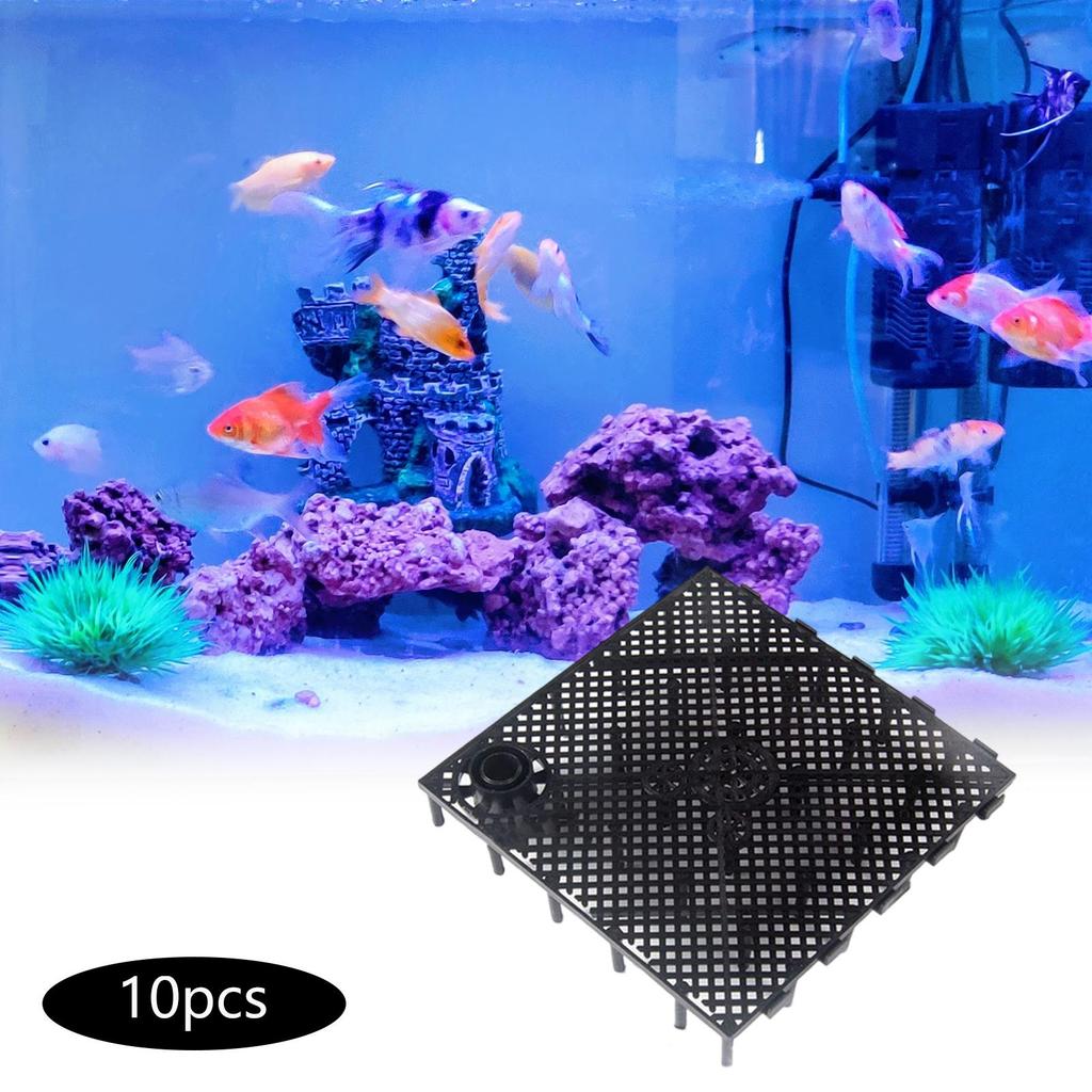 Innovative Aquarium Filter Plate for Enhanced Tank Bottom Filtration