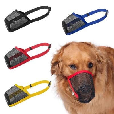 Perros – Manuales de entrenamiento y conducta