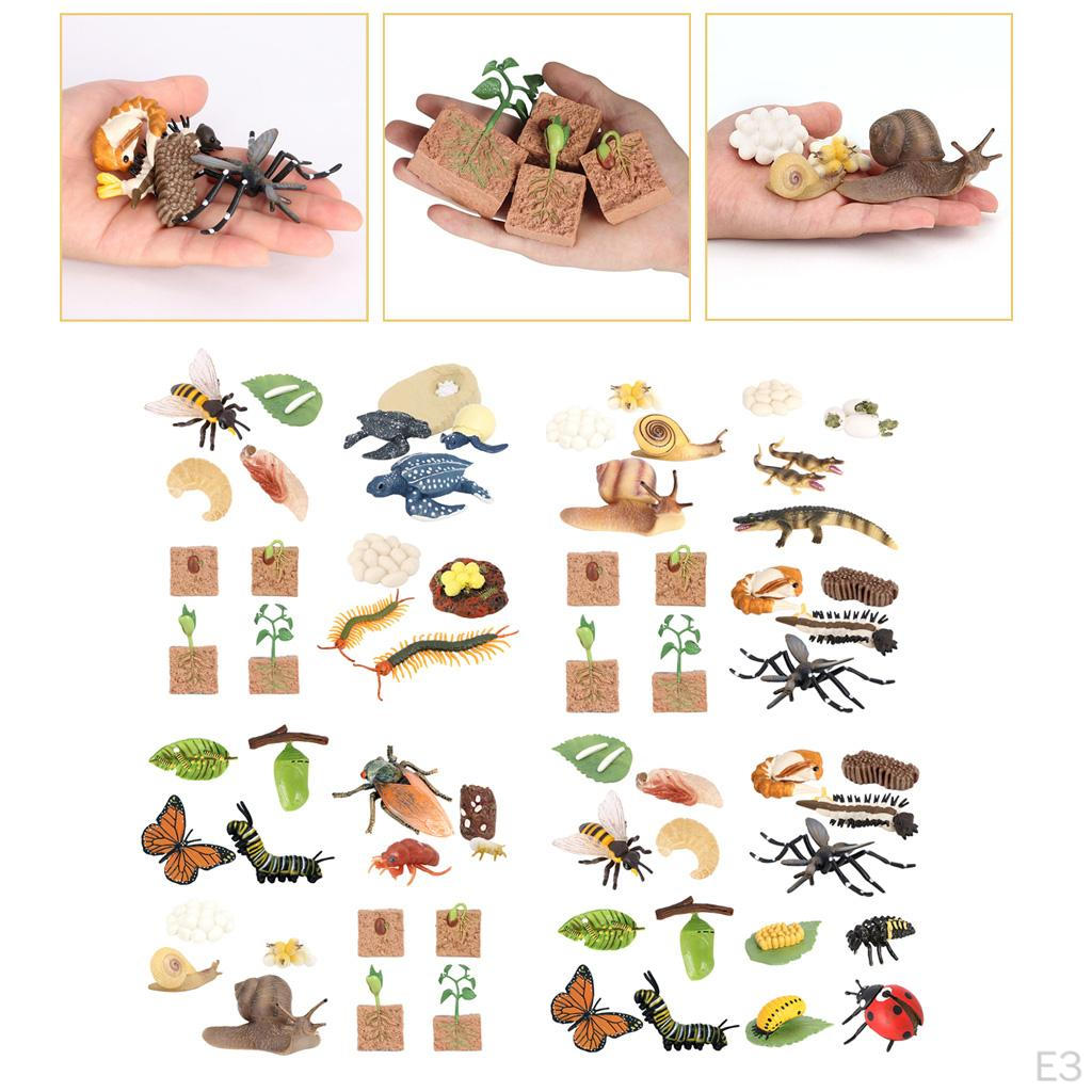 The World of Nature with Interactive STEM Toy Set