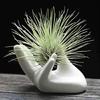 3Pcs Air Plant Holder Ceramics Airplants Holder Small Container Pots Hand Shape