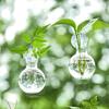 1/2/3/4/6/8Pcs Window Propagation Station Plant Propagation Glass Bulb with Suction Cup Transparent Planter Propagation Planter Terrarium Vase