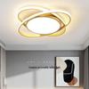 Modern Minimalist LED Ceiling Light