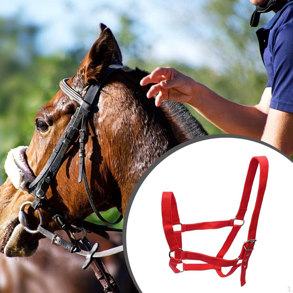 Horse Halter Wear Resistant Rope Chin and Throat Snap for Contest Practice