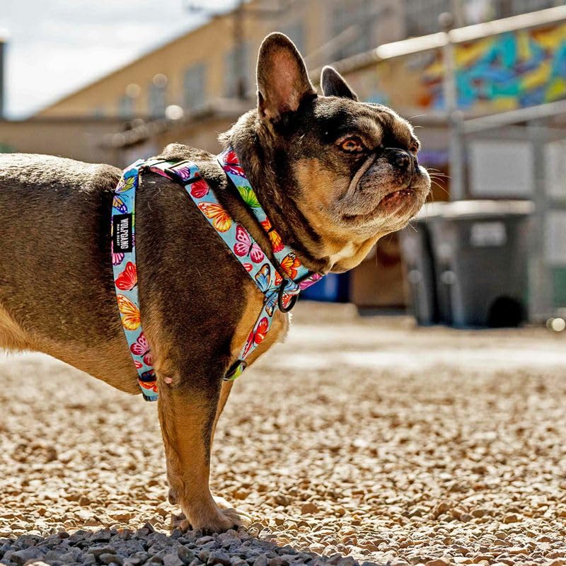 WOLFGANG FlutterColor Harness (M size) 1.6cm wide x 40-61cm chest circumference [Harness for medium-sized dogs]