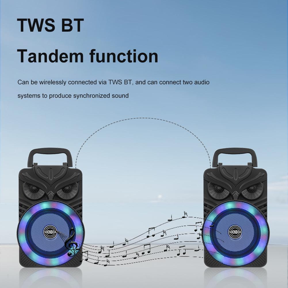 HiFi Stereo Subwoofer Bluetooth-Compatible FM Radio Aux Karaoke Handheld Sound Subwoofer RGB Light Portable Wireless Loudspeaker