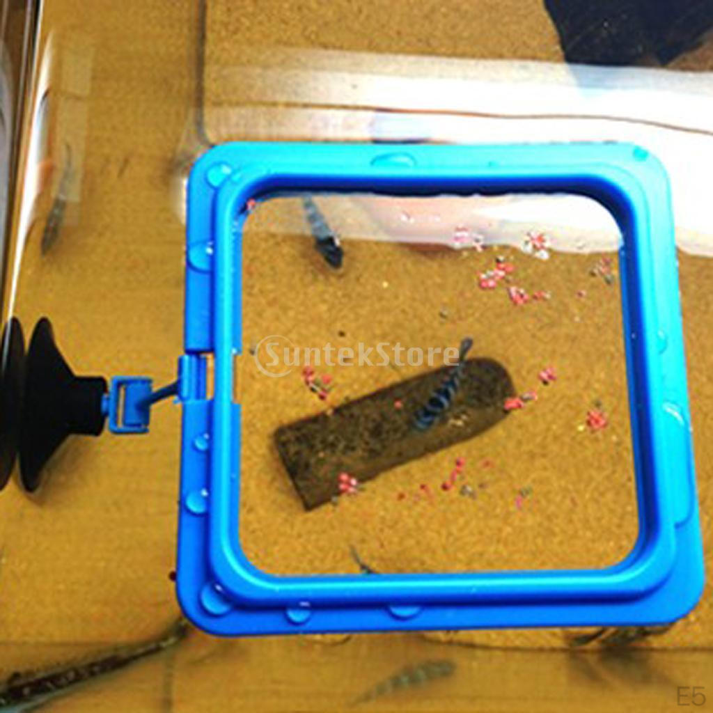 Buoyancy Circle Aquarium Feeding Ring Floating Feed Tool Fish Tank