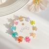 Hair Accessories Mini Hair Claw Hair Clip Flower Mini Hair Claw Elegant Star Hair Crab Clip  Girls