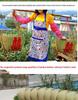 Zhuang Large Bamboo Woven Multi-Use Basket: Rice Washing, Grain Storage, Winnowing, Fruit Display, Event Decor