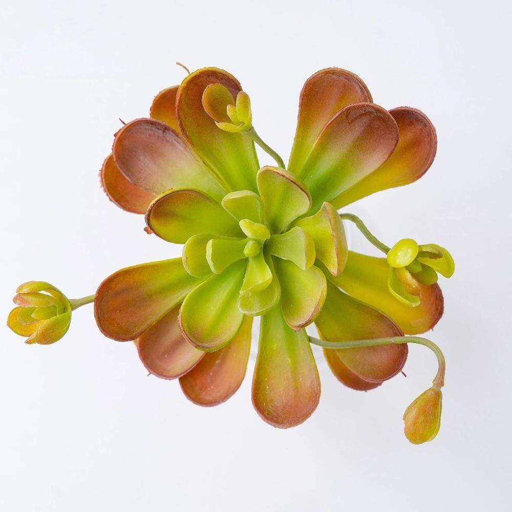 Lifelike Artificial Succulent Plant Real Touch Simulation Bonsai Plant  Home Office Decor