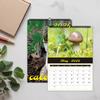 1pc 2026 Wall Calendar, World's Greatest Mushrooms, 12 Beautiful Designs, Monthly Plans, Perfect Gift for Birthdays, Christmas