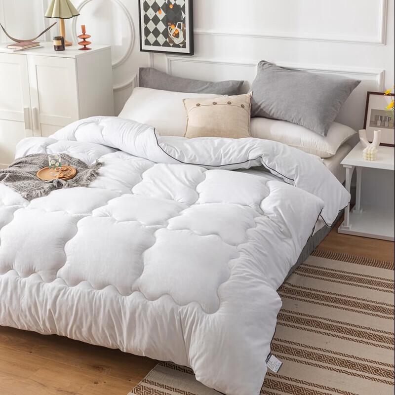 Caiyang All-Season Velvet Duvet