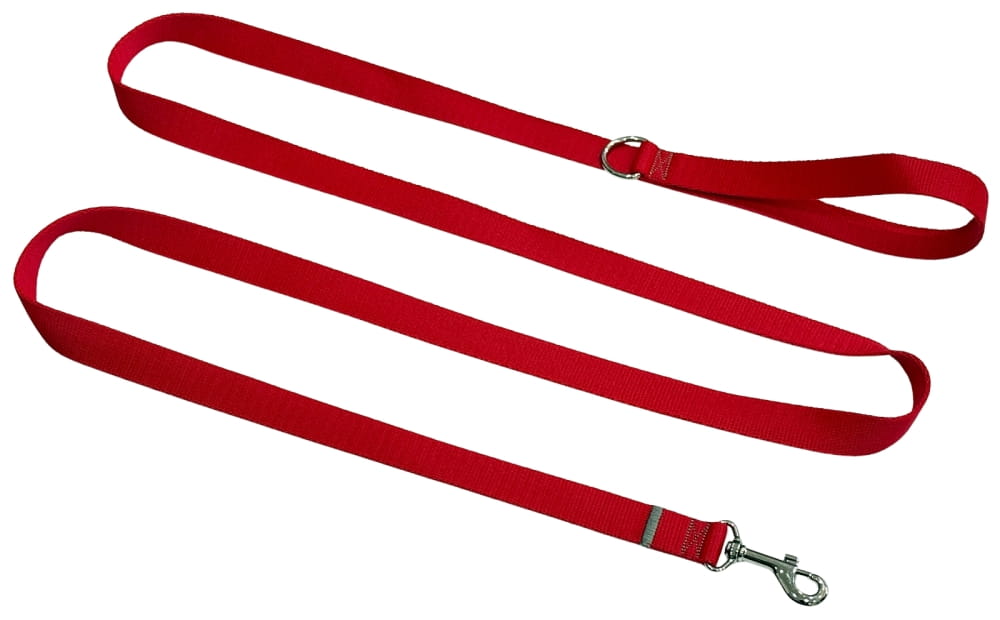 Dog Leash Traditional 2 Cm Red Fasten Dog Leash Traditional 2 Cm Red Fasten XXL - 3 M