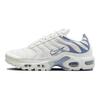 Air Max Plus