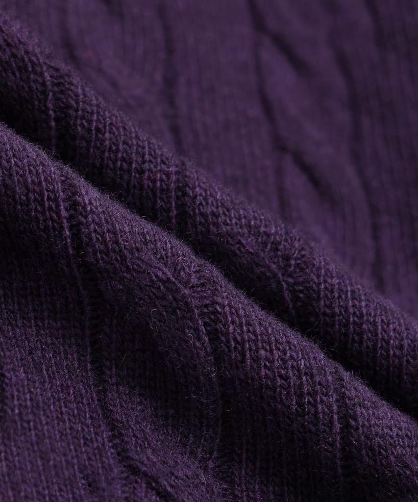 BROOKS BROTHERS Wool Cable Sweater (Violet) (Bbwrmbf401)