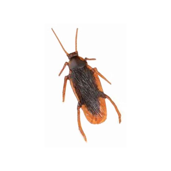 

Моделирование какашки муха таракан смешная шутка хитрая декомпрессионная игрушка дети взрослый подарок