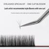 Golden Precision Eyelash Tweezers Set - Extended Dolphin Feather Clamp