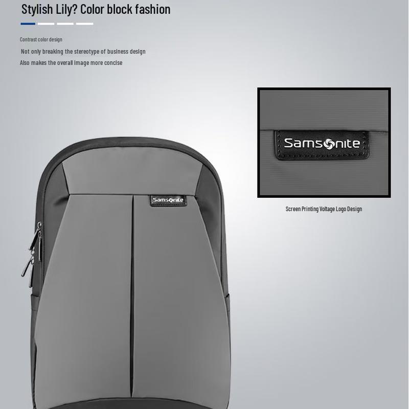 Samsonite 96Q Business Casual Travel Backpack