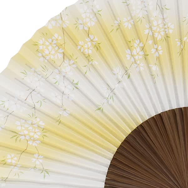Folding Fan, Kyoto Style, Made In Japan, with a Karaki Wood Frame and a Pearlescent Finish, Featuring Cherry Blossoms.