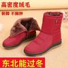 Waterproof Snow Boots Women Winter Shoes Non-slip Cold Winter Women Ankle Boots Non-slip Ladies Cotton Shoes Big Size