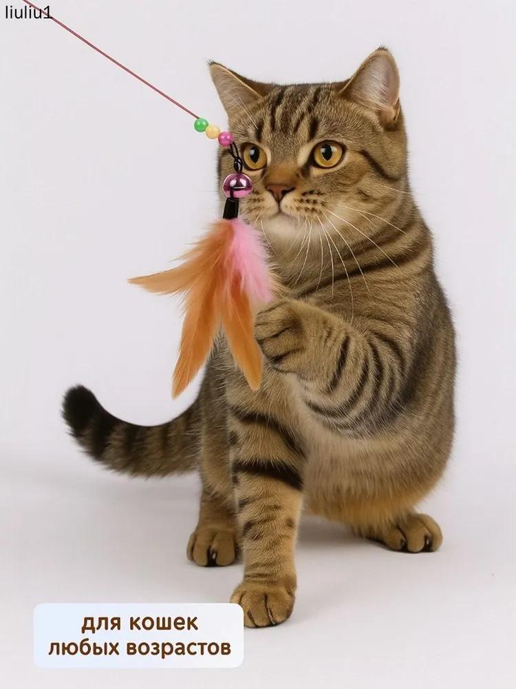 Attachments, interchangeable feathers for teasing