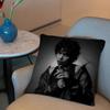 HIPHOP Singer K-Kwn RNB Cushion Cover 2-in-1 Reversible Plush Pillow Cover | Car/Sofa/Bed | Perfect Gift
