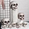 Wszystkie Rozmiary Ludzka Czaszka Głowa Szkielet Wisząca Czaszka Styl Halloween Rekwizyt Fotograficzny Dekoracja Domu Imprezy Materiały do Gier