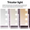 LED Lighted Makeup Mirror 3 Colors Lighting Touch Control Adjustable Stepless Dimming Cosmetic Mirror Portable Travel Vanity Mirror with Lamp