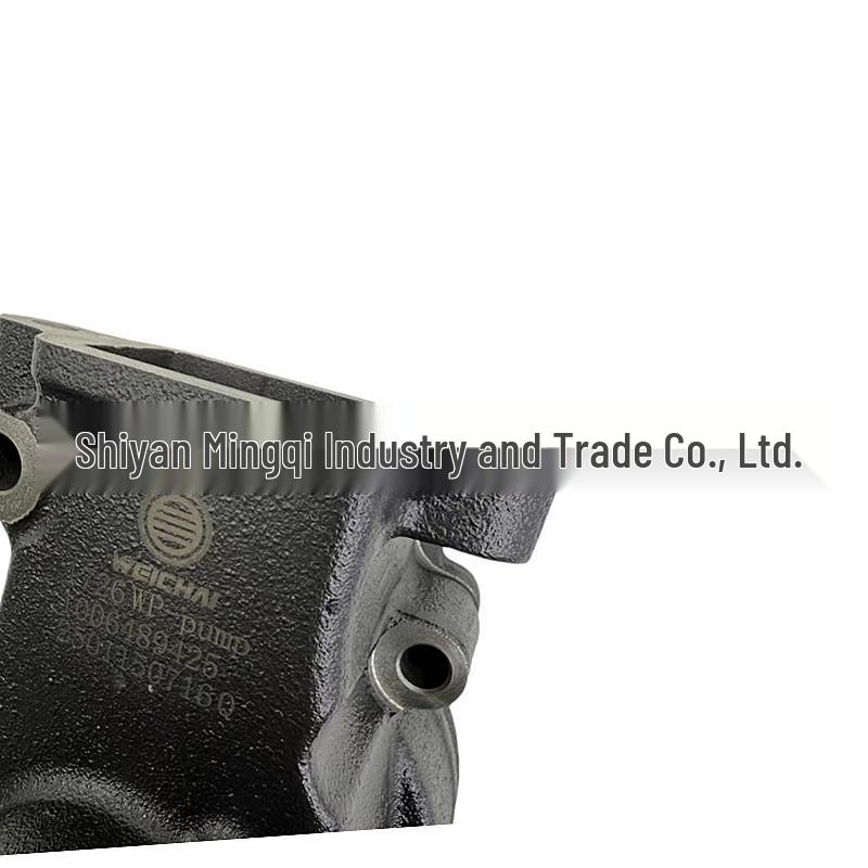 Sinotruk Howo Jiefang Foton Engine Water Pump 1006489425