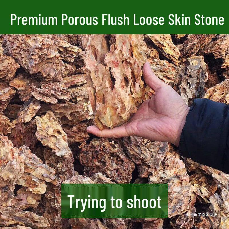 Azure Dragon Aquarium and Bonsai Landscaping Stone Set