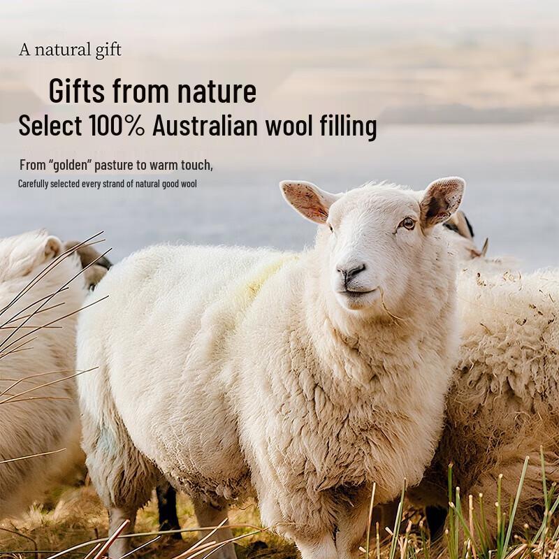 

Mengjie Bliss 100% Australian Wool Quilt