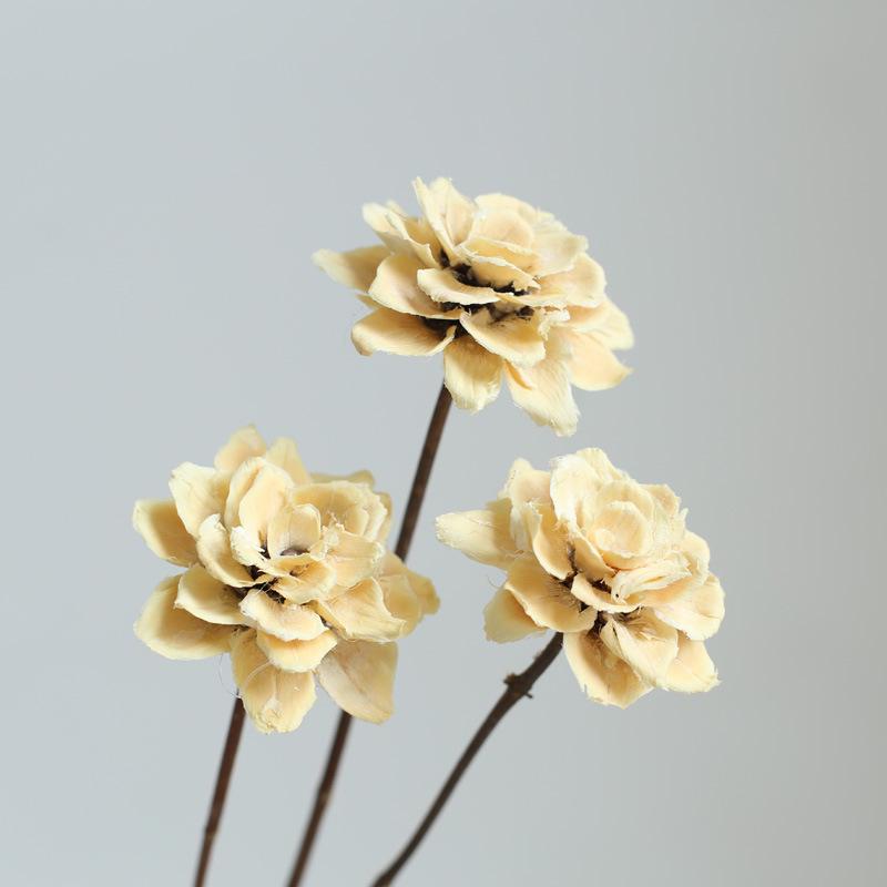Yunnan Dried & Immortal Flowers Bouquet: Baby's Breath, Roses, Forget-Me-Nots for Home & Homestay Decor