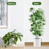 Yousheng Outdoor Plant Trellis Metal Climbing Plant Stakes Houseplants Support Trellis Planter Insert Frame Trellis for Potted Ivy Roses Orchids