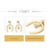 Earrings, cold wind 1010 new earrings, stainless steel earrings, European and American style popular jewelry