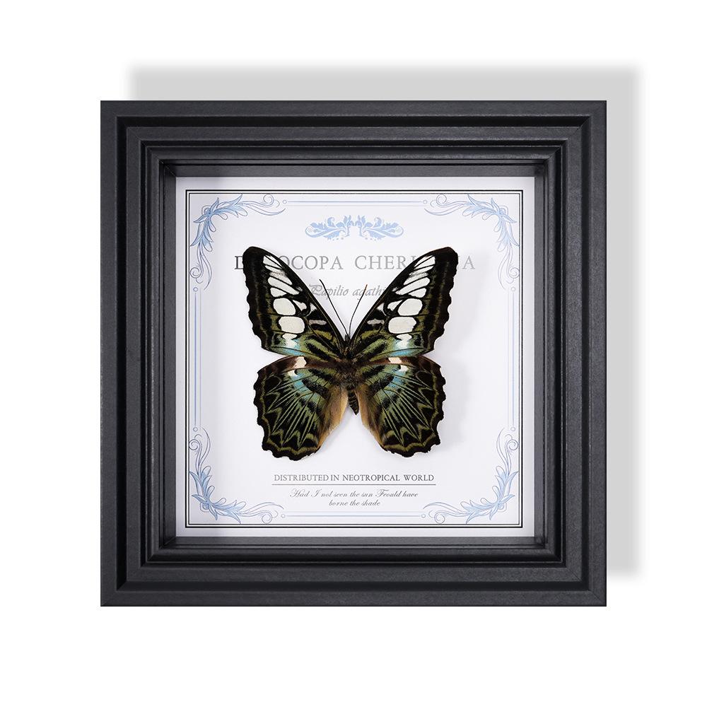 Wall-Mounted Butterfly Specimen Photo Frame: Home Decor & Gift for Valentine's Day, Qixi, Birthday, Couples & Insect Lovers
