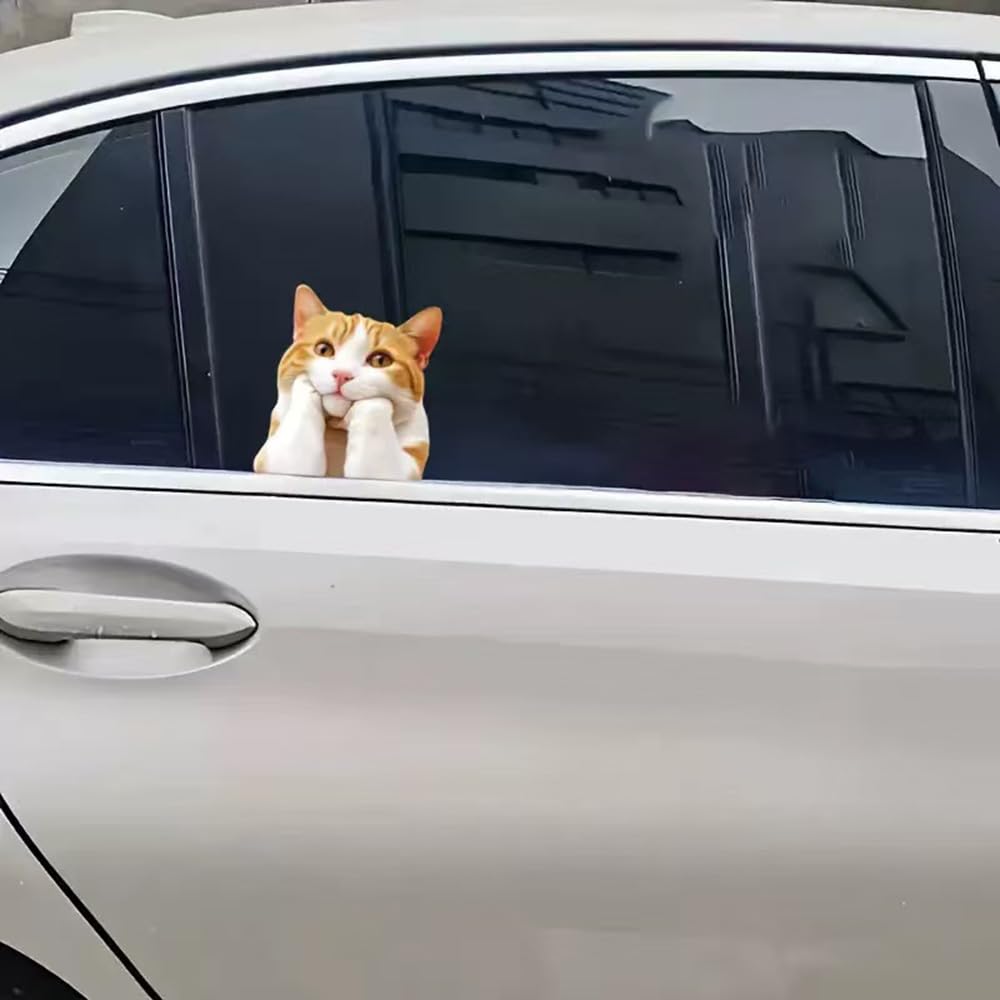 Two Thinking Cat Pack Vinyl Decal Sticker, Waterproof Poly Beer Covered for Cars, Laptops and Smooth Surfaces A098