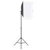 Professional Studio Lights 2 pcs 40x60 cm Steel Black