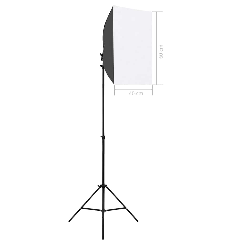 Professional Studio Lights 2 pcs 40x60 cm Steel Black