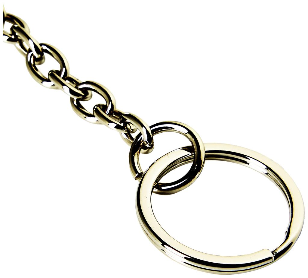 Card case with key ring X08165 P0550 T6033 [Diesel] [Item]